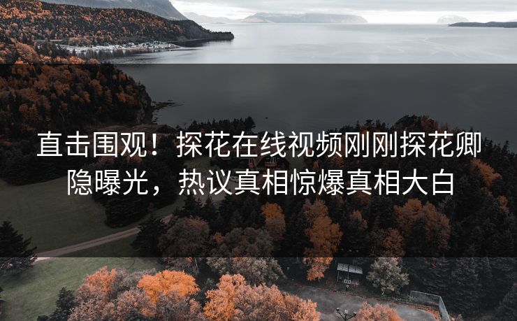 直击围观！探花在线视频刚刚探花卿隐曝光，热议真相惊爆真相大白  第1张
