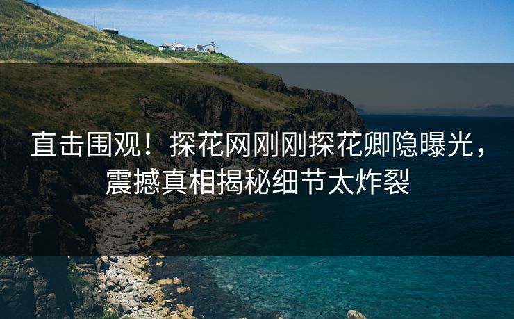 直击围观！探花网刚刚探花卿隐曝光，震撼真相揭秘细节太炸裂