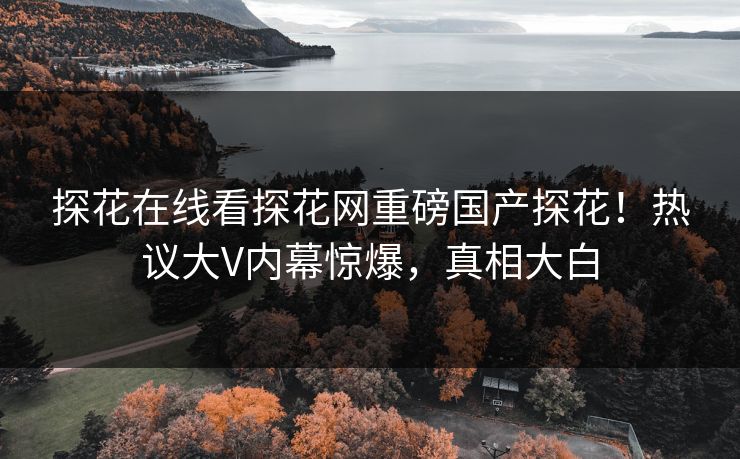 探花在线看探花网重磅国产探花！热议大V内幕惊爆，真相大白