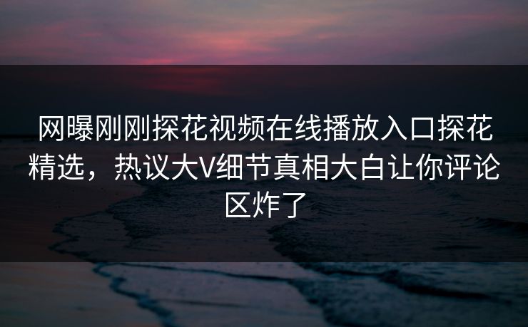 网曝刚刚探花视频在线播放入口探花精选，热议大V细节真相大白让你评论区炸了