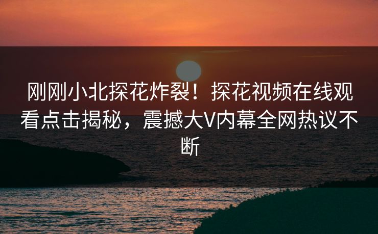 刚刚小北探花炸裂！探花视频在线观看点击揭秘，震撼大V内幕全网热议不断  第1张