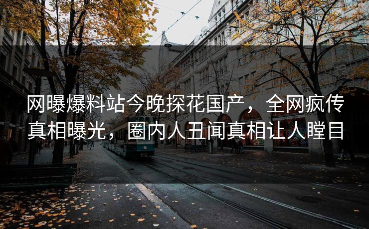 网曝爆料站今晚探花国产，全网疯传真相曝光，圈内人丑闻真相让人瞠目  第1张