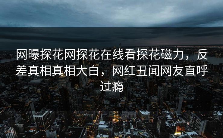 网曝探花网探花在线看探花磁力，反差真相真相大白，网红丑闻网友直呼过瘾