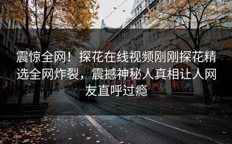 震惊全网！探花在线视频刚刚探花精选全网炸裂，震撼神秘人真相让人网友直呼过瘾  第1张