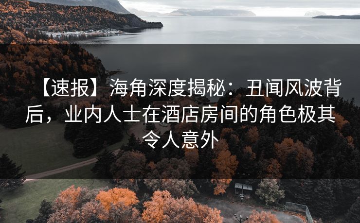 【速报】海角深度揭秘：丑闻风波背后，业内人士在酒店房间的角色极其令人意外