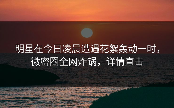 明星在今日凌晨遭遇花絮轰动一时，微密圈全网炸锅，详情直击
