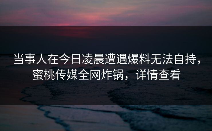 当事人在今日凌晨遭遇爆料无法自持，蜜桃传媒全网炸锅，详情查看