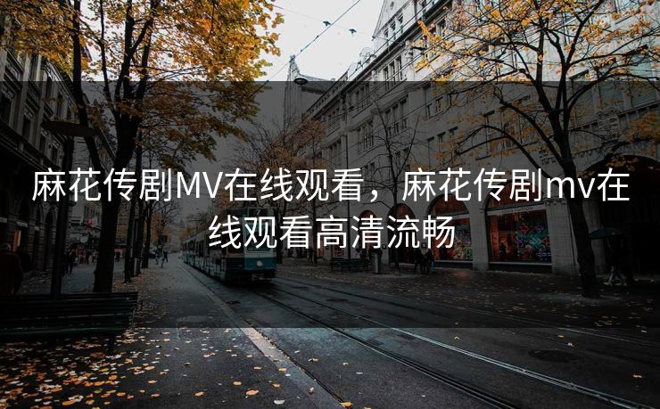 麻花传剧MV在线观看,麻花传剧mv在线观看高清流畅