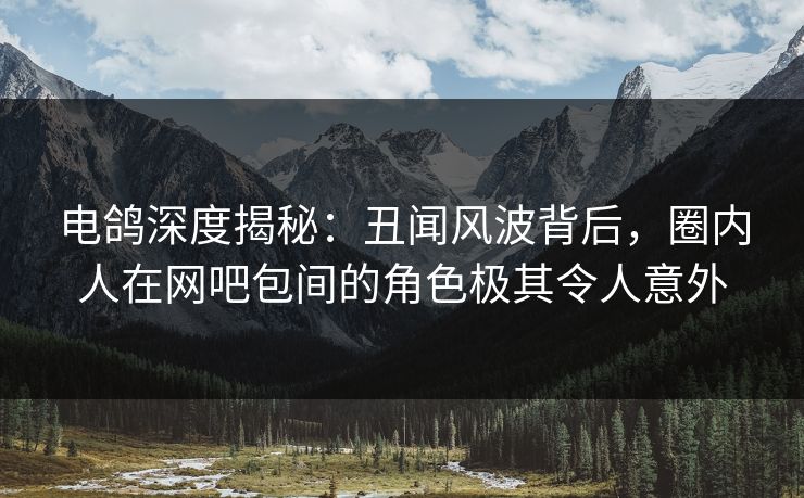 电鸽深度揭秘：丑闻风波背后，圈内人在网吧包间的角色极其令人意外