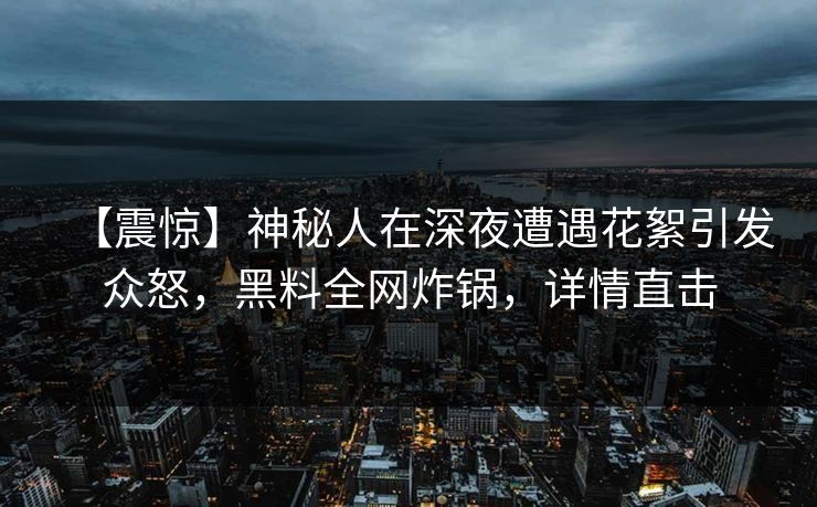 【震惊】神秘人在深夜遭遇花絮引发众怒，黑料全网炸锅，详情直击