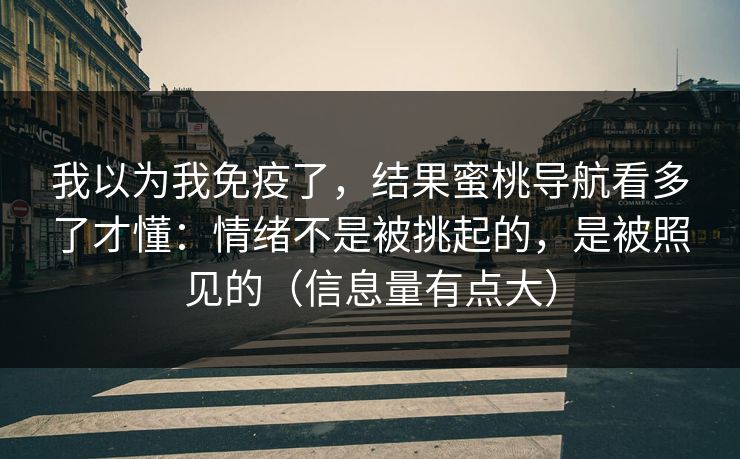 我以为我免疫了,结果蜜桃导航看多了才懂:情绪不是被挑起的,是被照见的(信息量有点大)